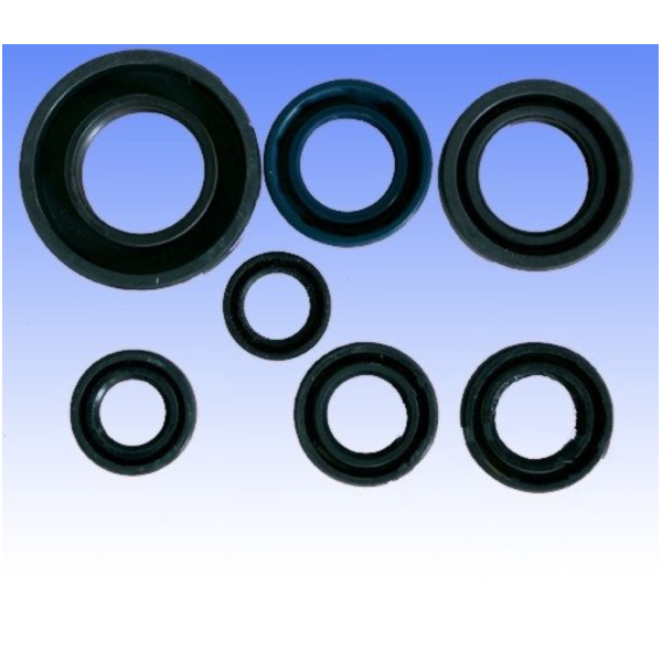 Simmering Wellendichtring Satz Athena P400210400082