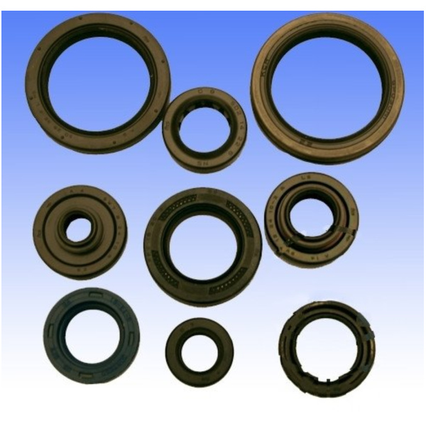 Simmering Wellendichtring Satz Athena P400510400140