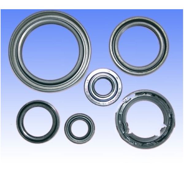 Simmering Wellendichtring Satz Athena P400510400241