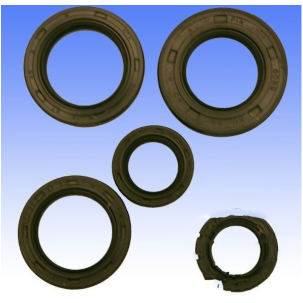 Simmering Wellendichtring Satz Athena P400510400019