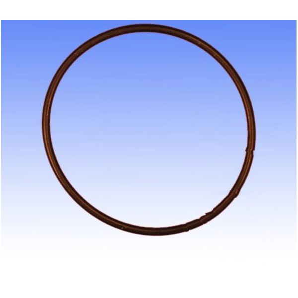 Ventildeckeldichtung O-Ring Athena