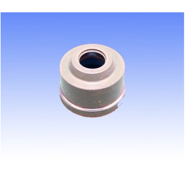 Ventilschaftdichtung Athena M739000098167