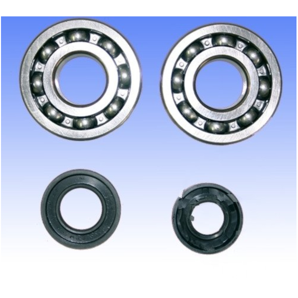 Kurbelwellenlager Satz Athena P400250444256