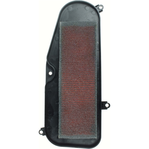 Luftfilter 100600730