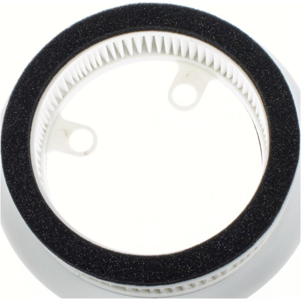 Luftfilter 100602370