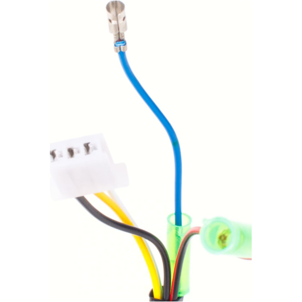 Lima, Generator Lichtmaschine Stator Version 2 für CPI, für: Keeway, 1E40QMB