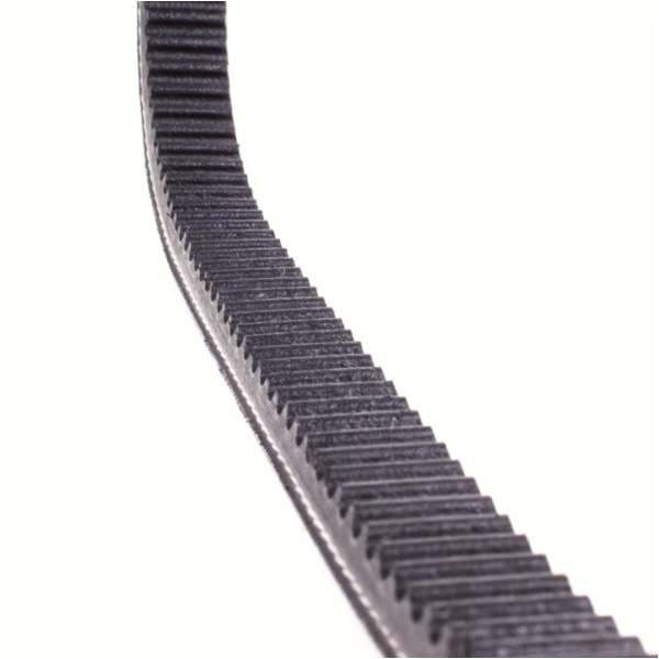 Antriebriemen, Zahnriemen L621xB16,3 Keilriemen