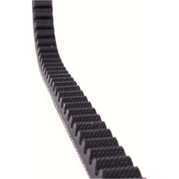 Antriebriemen, Zahnriemen L734xB17,0 Keilriemen