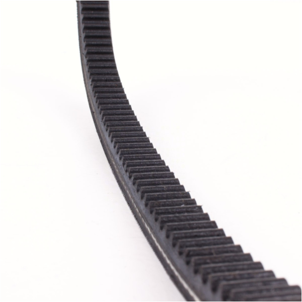 Antriebriemen, Zahnriemen L621xB15,0 Keilriemen