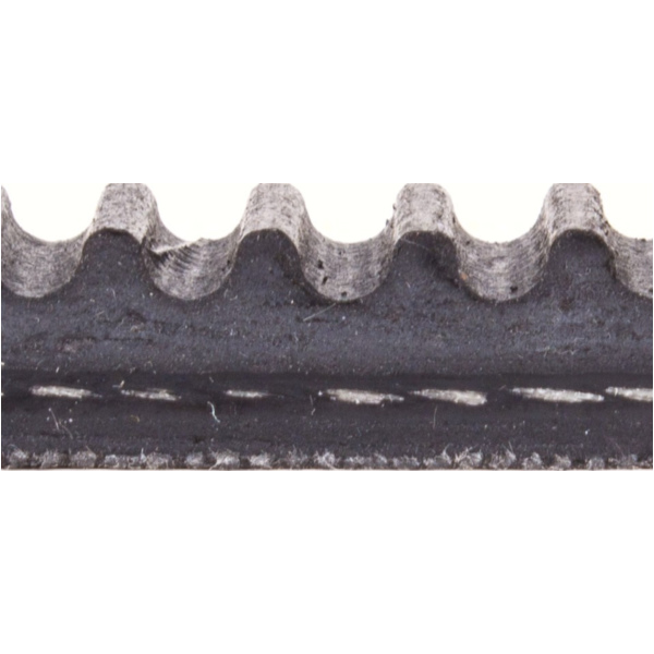 Antriebriemen, Zahnriemen L621xB15,0 Keilriemen