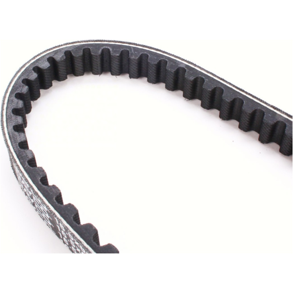 Antriebriemen, Zahnriemen L664xB16,5 Keilriemen
