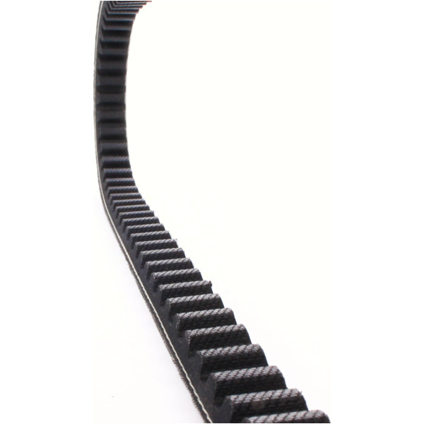 Antriebriemen, Zahnriemen L664xB16,5 Keilriemen