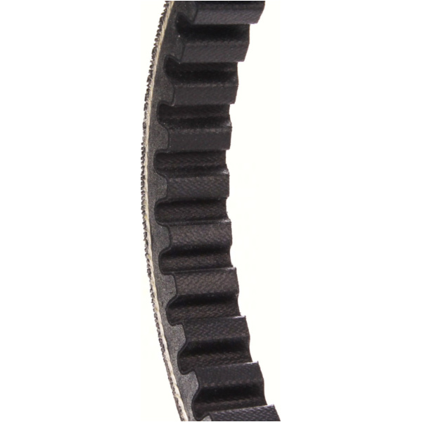 Antriebriemen, Zahnriemen L747xB16,5 Power Plus Keilriemen Aramid verstärkt