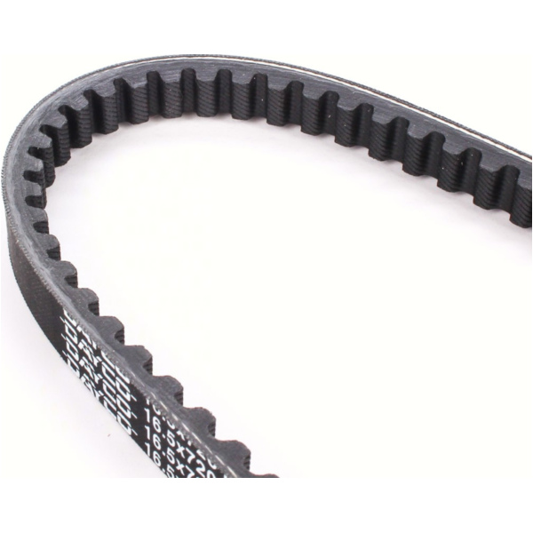 Antriebriemen, Zahnriemen L720xB16,5 Keilriemen