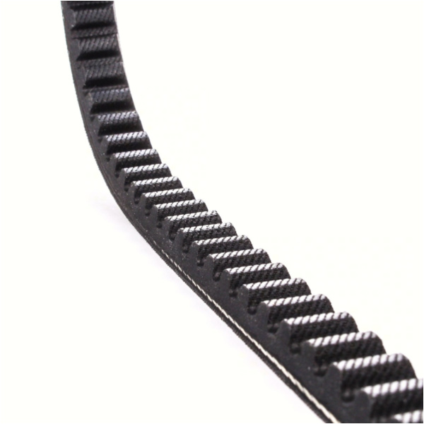 Antriebriemen, Zahnriemen L720xB16,5 Keilriemen