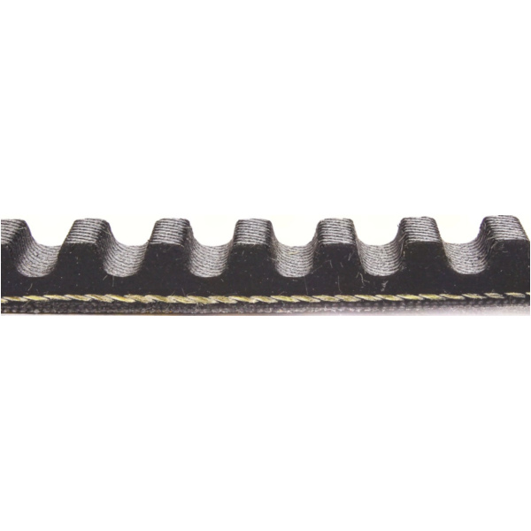 Antriebriemen, Zahnriemen L792xB16,5 Power Plus Keilriemen Aramid verstärkt