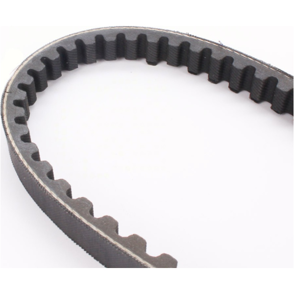 Antriebriemen, Zahnriemen L860xB15,0 Keilriemen