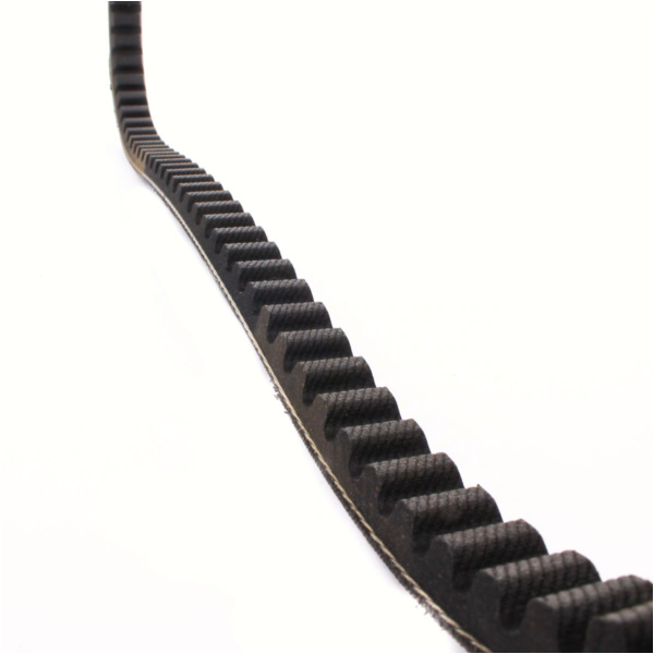 Antriebriemen, Zahnriemen L860xB15,0 Keilriemen