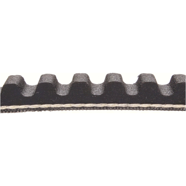 Antriebriemen, Zahnriemen L860xB15,0 Keilriemen