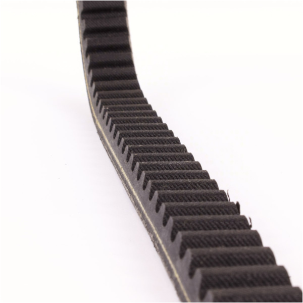 Antriebriemen, Zahnriemen L815xB22,0 Power Plus Keilriemen Aramid verstärkt