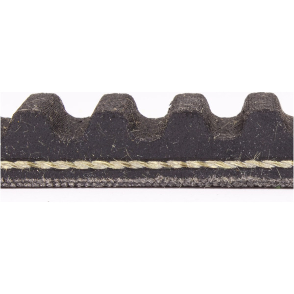 Antriebriemen, Zahnriemen L815xB22,0 Power Plus Keilriemen Aramid verstärkt