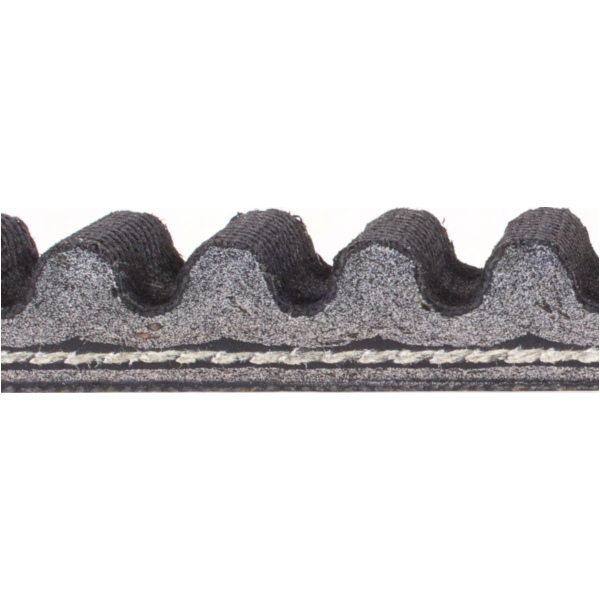 Antriebriemen, Zahnriemen L828xB22,0 Power Plus Keilriemen Aramid verstärkt