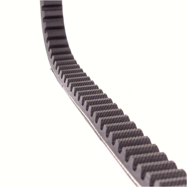 Antriebriemen, Zahnriemen L743xB18,0 Keilriemen