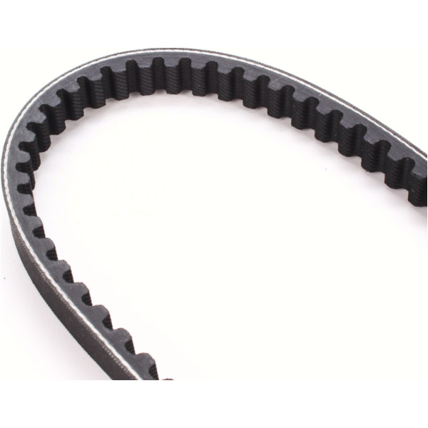 Antriebriemen, Zahnriemen L785xB16,6 Keilriemen