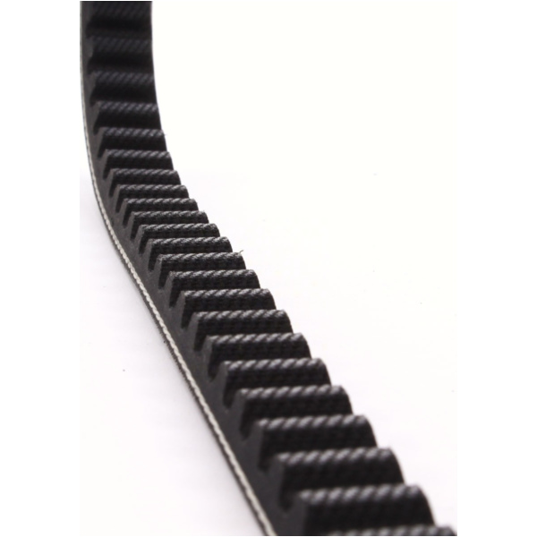 Antriebriemen, Zahnriemen L785xB16,6 Keilriemen