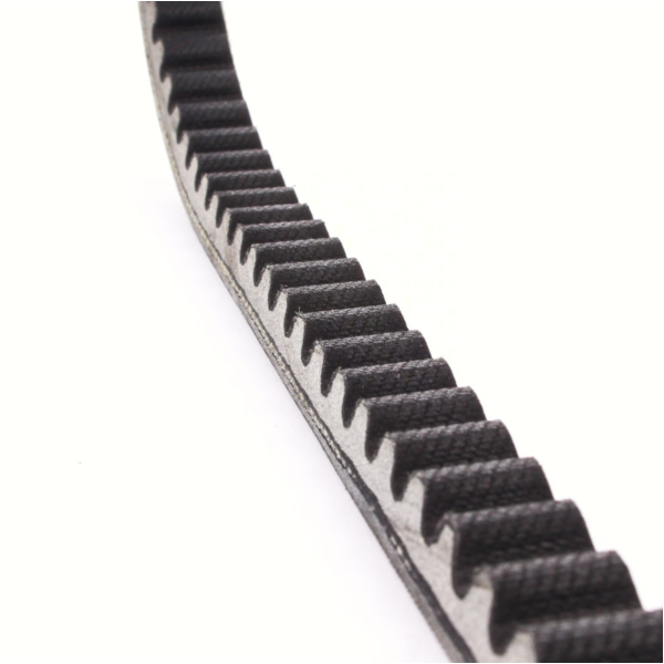 Antriebriemen, Zahnriemen L808xB16,8 Power Plus Keilriemen Aramid verstärkt