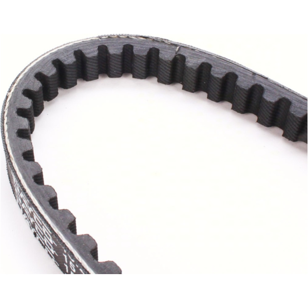 Antriebriemen, Zahnriemen L596xB15,2 Keilriemen