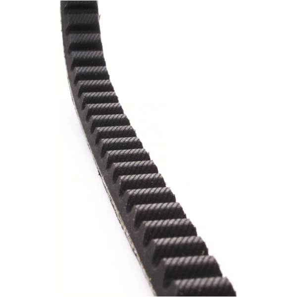 Antriebriemen, Zahnriemen L596xB15,2 Keilriemen