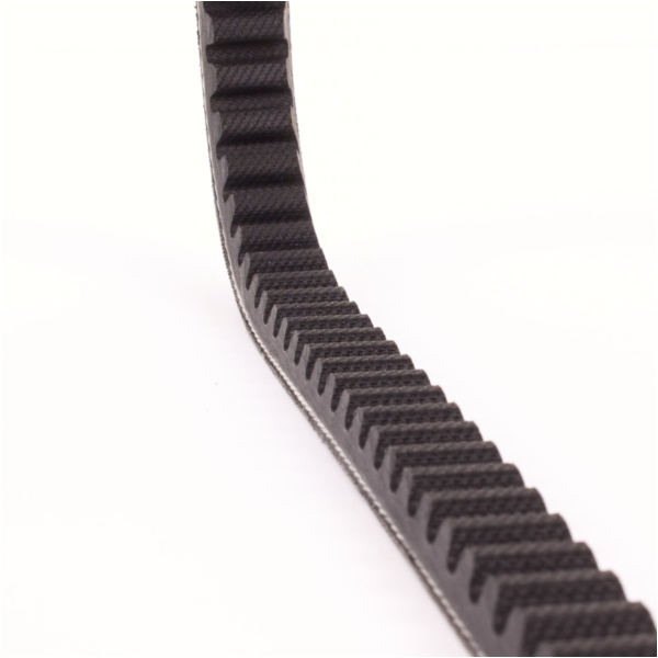 Antriebriemen, Zahnriemen L736xB17,0 Keilriemen