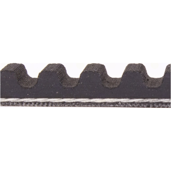 Antriebriemen, Zahnriemen L736xB17,0 Keilriemen