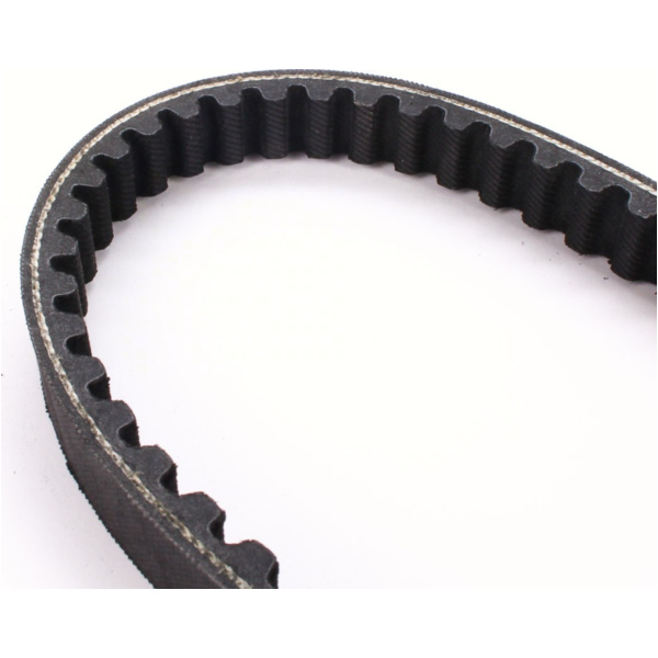 Antriebriemen, Zahnriemen L732xB18,5 Power Plus Keilriemen Aramid verstärkt