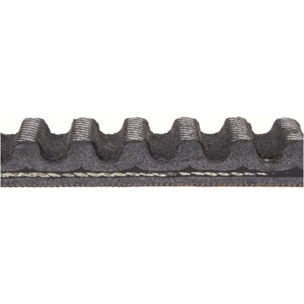 Antriebriemen, Zahnriemen L732xB18,5 Power Plus Keilriemen Aramid verstärkt