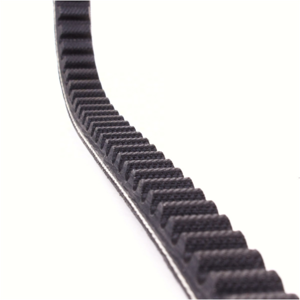 Antriebriemen, Zahnriemen L770xB16,3 Keilriemen