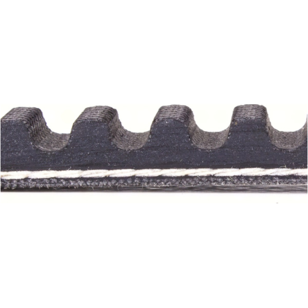 Antriebriemen, Zahnriemen L770xB16,3 Keilriemen