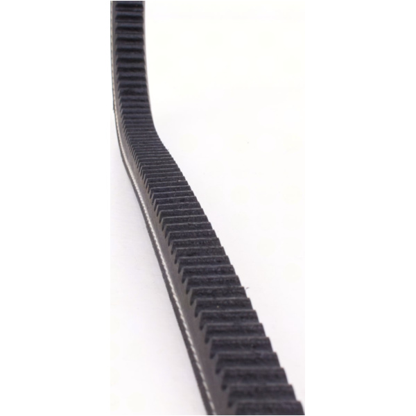 Antriebriemen, Zahnriemen L868xB14,5 Keilriemen