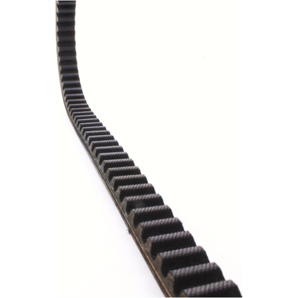 Antriebriemen, Zahnriemen L826xB18,5 Keilriemen