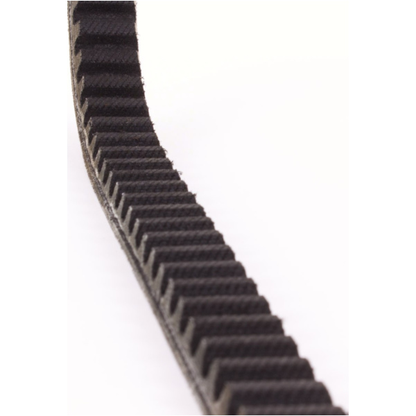 Antriebriemen, Zahnriemen L736xB18,0 Keilriemen