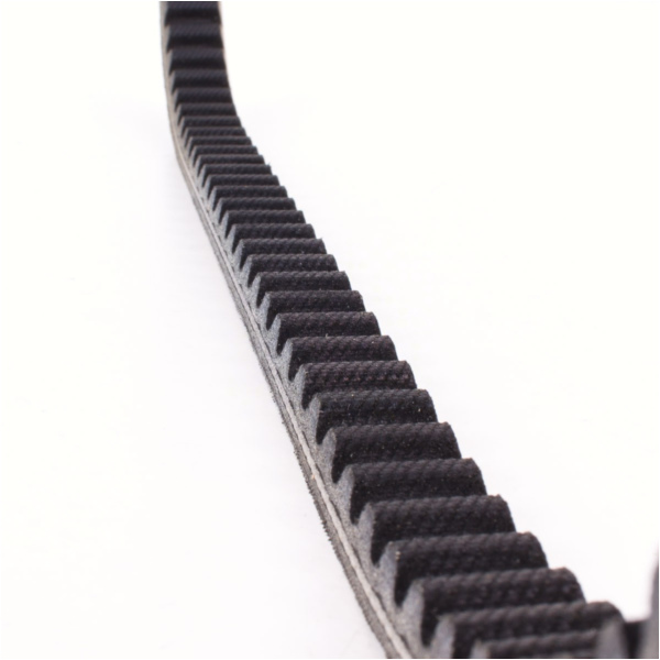Antriebriemen, Zahnriemen L848xB18,0 Keilriemen