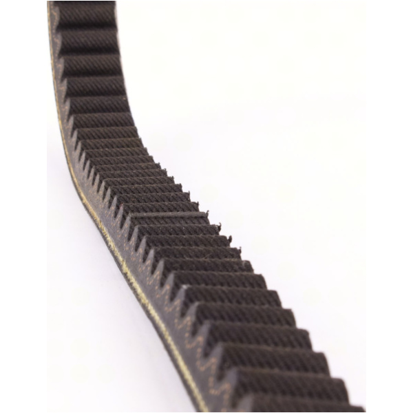 Antriebriemen, Zahnriemen L875xB23,0 Power Plus Keilriemen Aramid verstärkt