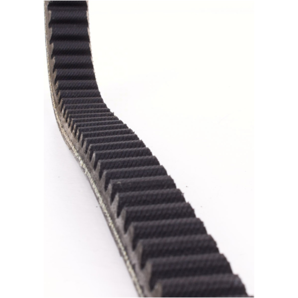 Antriebriemen, Zahnriemen L845xB22,5 Power Plus Keilriemen Aramid verstärkt