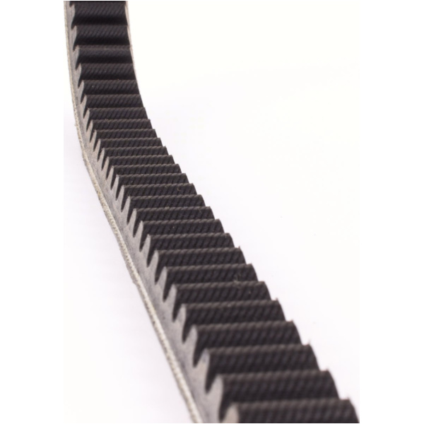 Antriebriemen, Zahnriemen L926xB22,2 Power Plus Keilriemen Aramid verstärkt