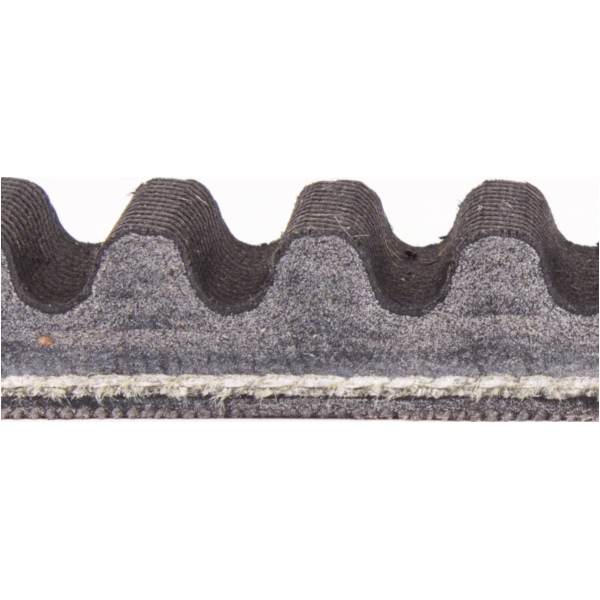 Antriebriemen, Zahnriemen L926xB22,2 Power Plus Keilriemen Aramid verstärkt