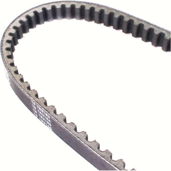 Antriebriemen, Zahnriemen L782xB18,4 Keilriemen