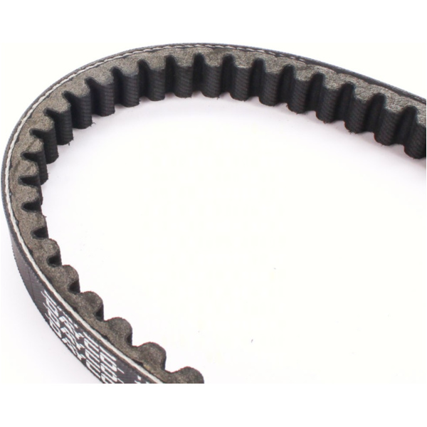 Antriebriemen, Zahnriemen L743xB18,0 Keilriemen 8134