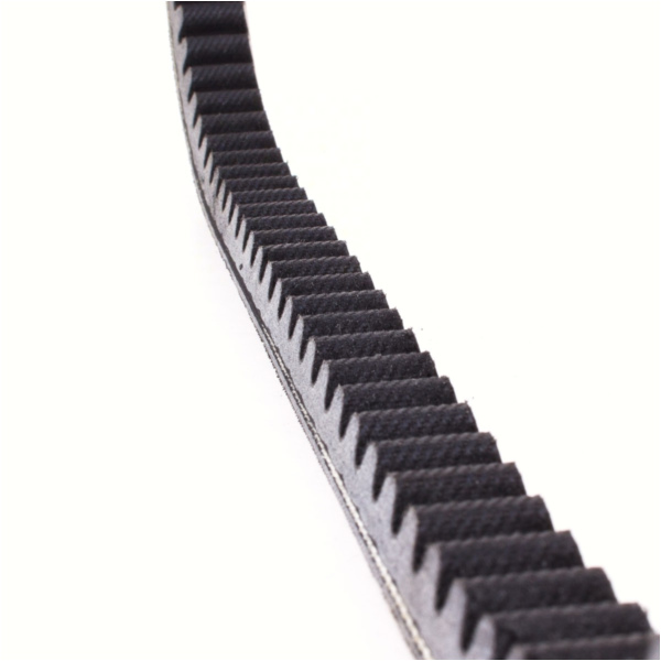 Antriebriemen, Zahnriemen L815xB19,0 Power Plus Keilriemen Aramid verstärkt