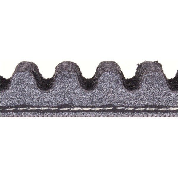 Antriebriemen, Zahnriemen L815xB19,0 Power Plus Keilriemen Aramid verstärkt